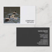 Square Foto (v2) - Kanada Gänse mit Goslings Visitenkarte (Vorne/Hinten)