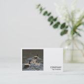 Square Foto (v2) - Kanada Gänse mit Goslings Visitenkarte (Stehend Vorderseite)