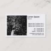 Square Foto (v2) - London Flugzeug Tree Visitenkarte (Rückseite)