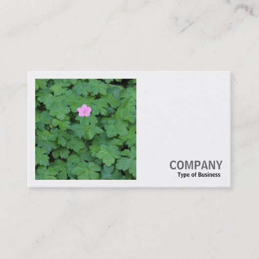 Square Foto (v2) - Lone Geranium Visitenkarte (Vorderseite)