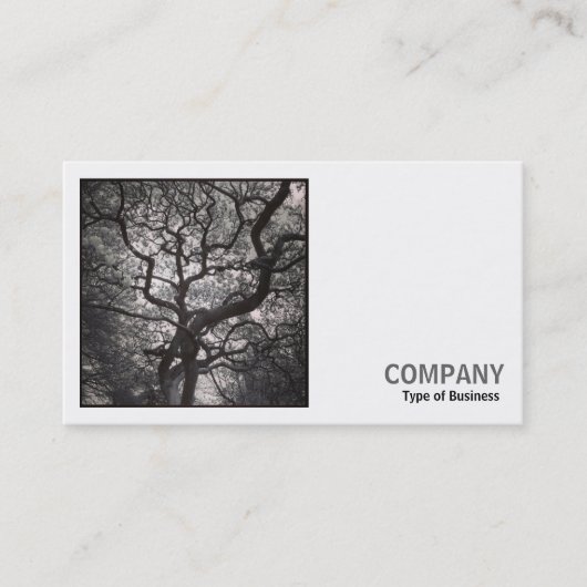 Square Foto (v2) - Magnolia Tree in Blossom 03 Visitenkarte (Vorderseite)