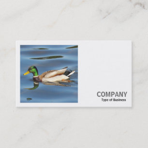 Square Foto (v2) - Mallard Duck Visitenkarte