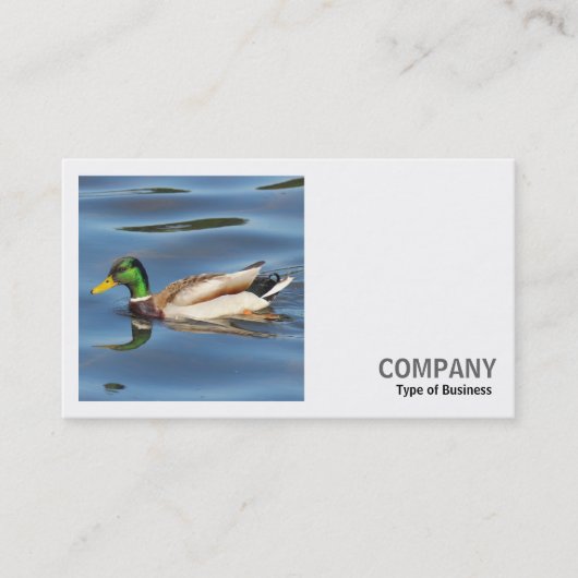 Square Foto (v2) - Mallard Duck Visitenkarte (Vorderseite)