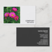 Square Foto (v2) - Michaelmas Daisies 02 Visitenkarte (Vorne/Hinten)