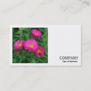 Square Foto (v2) - Michaelmas Daisies 02 Visitenkarte
