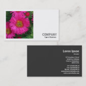 Square Foto (v2) - Michaelmas Daisies 03 Visitenkarte (Vorne/Hinten)