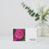 Square Foto (v2) - Michaelmas Daisies 03 Visitenkarte (Stehend Vorderseite)
