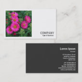 Square Foto (v2) - Michaelmas Daisies Visitenkarte (Vorne/Hinten)