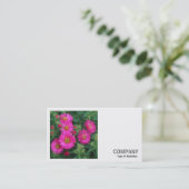 Square Foto (v2) - Michaelmas Daisies Visitenkarte (Stehend Vorderseite)