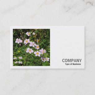 Square Foto (v2) - Rosa Anemonen Visitenkarte