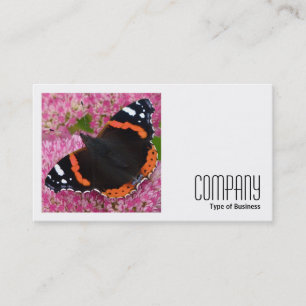 Square Foto (v2) - Roter Admiral auf Sedum Visitenkarte