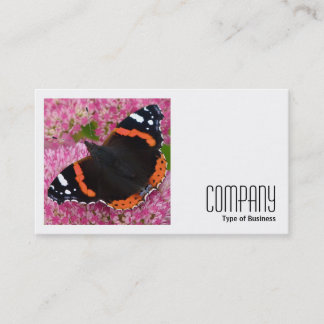 Square Foto (v2) - Roter Admiral auf Sedum Visitenkarte