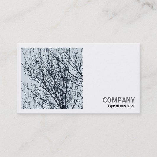 Square Foto (v2) - Starlings in a Tree Visitenkarte (Vorderseite)