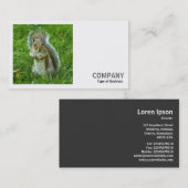 Square Foto (v2) - Started Gray Eichhörnchen Visitenkarte (Vorne/Hinten)