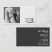 Square Foto (v2) - Swan B&W Visitenkarte (Vorne/Hinten)