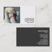Square Foto (v2) - Swan Visitenkarte (Vorne/Hinten)