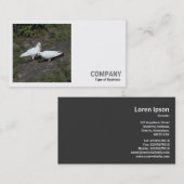 Square Foto (v2) - Weiße Tauben Visitenkarte (Vorne/Hinten)