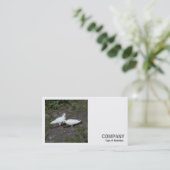 Square Foto (v2) - Weiße Tauben Visitenkarte (Stehend Vorderseite)