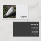 Square Foto (v2) - Weißes Taube Visitenkarte (Vorne/Hinten)