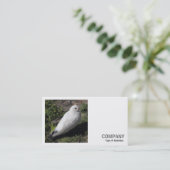 Square Foto (v2) - Weißes Taube Visitenkarte (Stehend Vorderseite)
