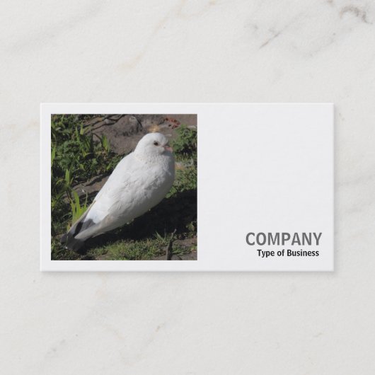 Square Foto (v2) - Weißes Taube Visitenkarte (Vorderseite)