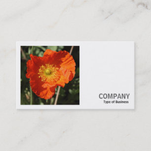 Square Foto (v2) - Welsh Poppy (Orange) Visitenkarte