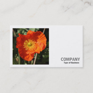 Square Foto (v2) - Welsh Poppy (Orange) Visitenkarte