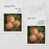 Square Foto (v3) - African Daisies Visitenkarte (Vorne/Hinten)