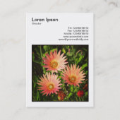 Square Foto (v3) - African Daisies Visitenkarte (Rückseite)
