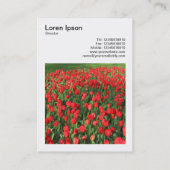 Square Foto (v3) - Bett of Red Tulips 02 Visitenkarte (Rückseite)