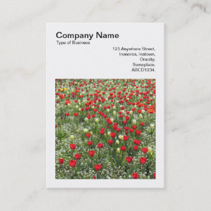 Square Foto (v3) - Bett von Tulips Visitenkarte