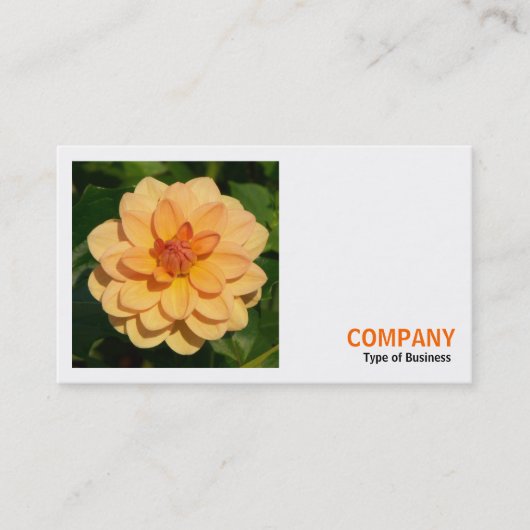 Square Foto (v3) - Dahlia 'David Howard' Visitenkarte (Vorderseite)