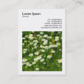 Square Foto (v3) - Daisy Meadow Visitenkarte (Rückseite)