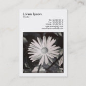 Square Foto (v3) - Daisy Visitenkarte (Rückseite)