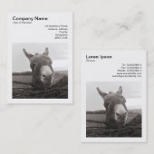 Square Foto (v3) - Friendly Donkey Visitenkarte (Vorne/Hinten)