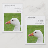 Square Foto (v3) - Gänse Visitenkarte (Vorne/Hinten)