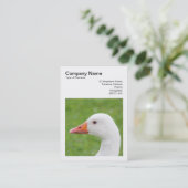 Square Foto (v3) - Gänse Visitenkarte (Stehend Vorderseite)