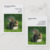 Square Foto (v3) - Gray Squirrel Eating Nuts Visitenkarte (Vorne/Hinten)