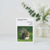 Square Foto (v3) - Gray Squirrel Eating Nuts Visitenkarte (Stehend Vorderseite)