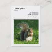 Square Foto (v3) - Gray Squirrel Eating Nuts Visitenkarte (Rückseite)