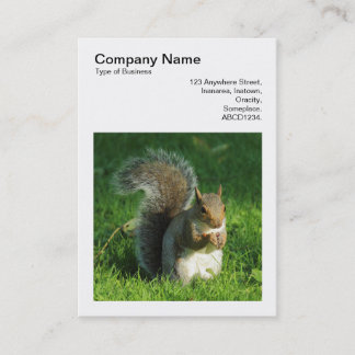 Square Foto (v3) - Gray Squirrel Eating Nuts Visitenkarte