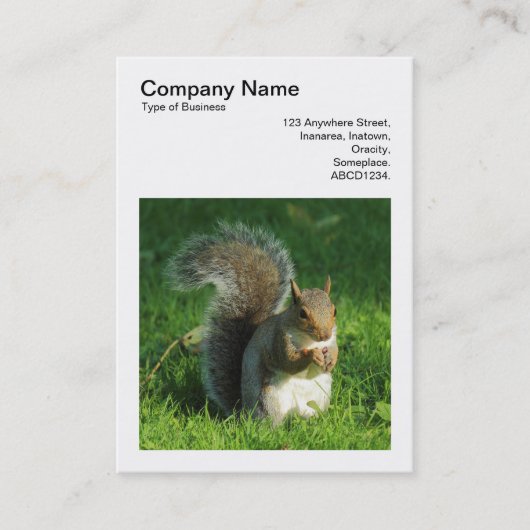Square Foto (v3) - Gray Squirrel Eating Nuts Visitenkarte (Vorderseite)