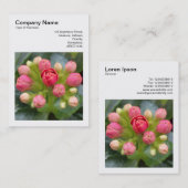 Square Foto (v3) - Kalanchoe Buds Visitenkarte (Vorne/Hinten)