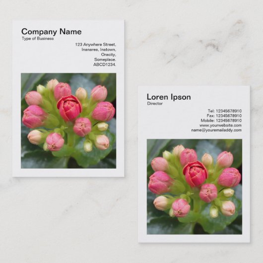 Square Foto (v3) - Kalanchoe Buds Visitenkarte (Vorne/Hinten)