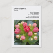 Square Foto (v3) - Kalanchoe Buds Visitenkarte (Rückseite)
