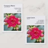 Square Foto (v3) - Kalanchoe Visitenkarte (Vorne/Hinten)