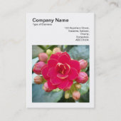 Square Foto (v3) - Kalanchoe Visitenkarte (Vorderseite)