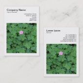 Square Foto (v3) - Lone Geranium Visitenkarte (Vorne/Hinten)