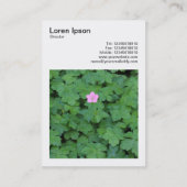 Square Foto (v3) - Lone Geranium Visitenkarte (Rückseite)