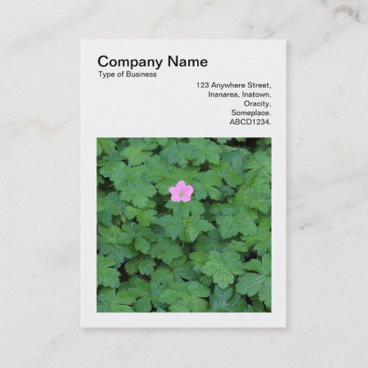 Square Foto (v3) - Lone Geranium Visitenkarte (Vorderseite)